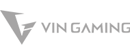 VIN Gaming